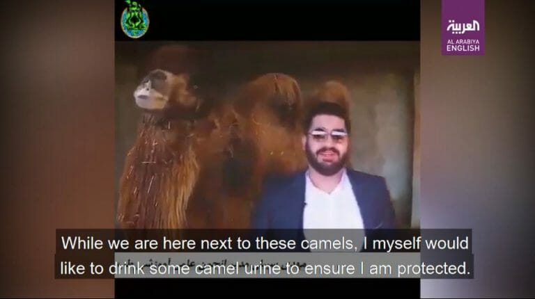 Ein „Spezialist für islamische Medizin“ ruft Iraner auf, Kamelurin gegen Corona zu trinken