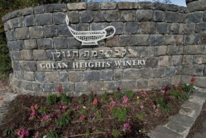 Israelischer Wein von den Golanhöhen wird neuerdings nach Dubai exportiert. (© imago images/Danita Delimont)