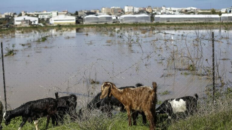 Auch dieses Jahr wurde wieder die Mär verbreitet, Israel sei für Überschwemmungen in Gaza verantwortlich