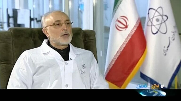 Der Leiter der Atomenergiebehörde des Iran Ali-Akbar Salehi im Interview