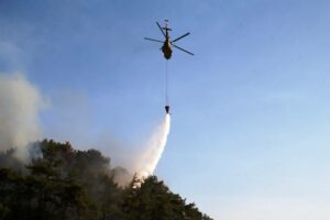 Die Türkei ist in der Bekämpfung der Waldbrände völlig überfordert. Rufe nach internationaler Hilfe sollen einem Staatsanwalt zufolge eine „Beleidigung“ der Regierung darstellen. (© imago images/Depo Photos)