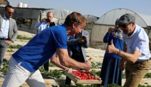 Propaganda statt Diplomatie: Sven Kühn von Burgsdorff erntet Erdbeeren im Gazastreifen