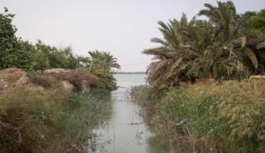 Aufgrund von Dürre und Bauprojekten sind die Spiegel von Euphrat und Tigris stark gefallen