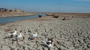 Der Irak gilt als eines der vom Klimawandel am stärksten bedrohten Länder weltweit
