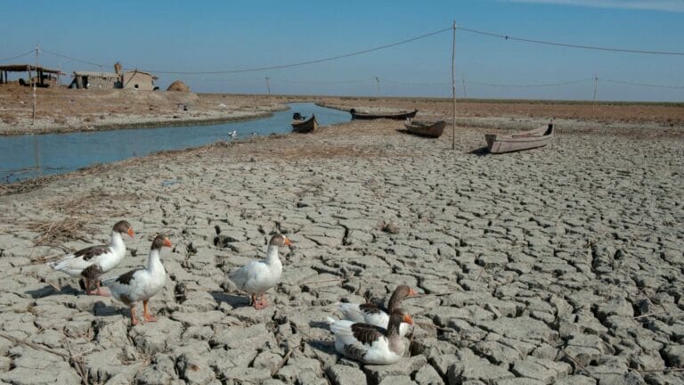 Der Irak gilt als eines der vom Klimawandel am stärksten bedrohten Länder weltweit