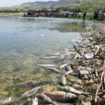 Der Fluß Litani im Libanon ist - wie viele weitere Wasserreservoirs - völlig kontaminiert