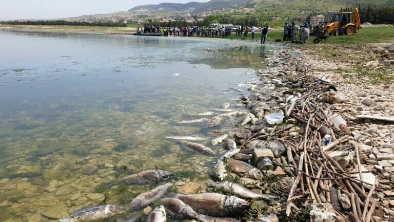 Der Fluß Litani im Libanon ist - wie viele weitere Wasserreservoirs - völlig kontaminiert
