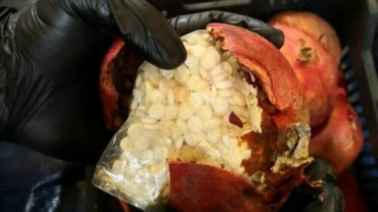 In Granatäpfeln aus Syrien geschmuggelte Captagon-Tabletten