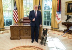US-Präsident Trump mit dem Hund Conan, der am Einsatz gegen IS-Chef Abu Bakr al-Baghdadi teilgenommen hatte. Mit dem Namen az-Zawahiri konnte Trump nichts anfangen. (imago images/ZUMA Wire)