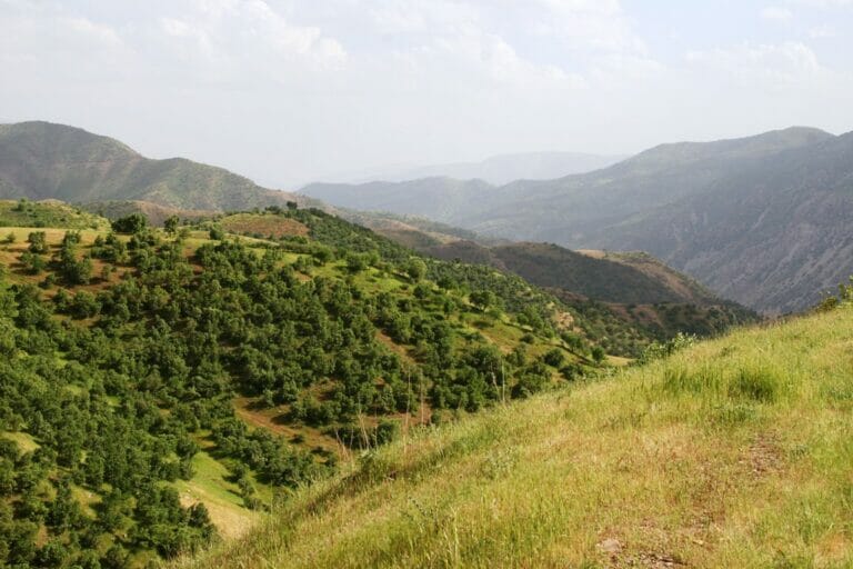 Mehrere iranischen Kurdengruppen haben sich im Nordirak niergelassen. (© imago images/agefotostock)