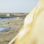 Die Wasserstände an Euphrat und Tigris im Irak gehen immer weiter zurück
