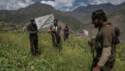 Kampagne der Taliban zur Vernichtung von Opiumfeldern