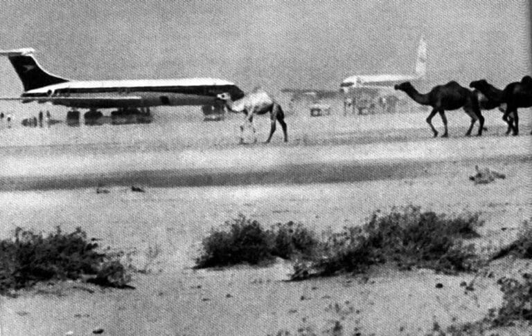 Entführte westliche Flugzeuge auf dem Flughafen Dawson's Field in Jordanien. Die Flugzeugentführungen waren der unmittelbare Auslöser für den »schwarzen September«. (© imago images/United Archives International)